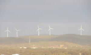 Gas-Backed up Renewable Energy Is Most Affordable Power Source, AEMO Says